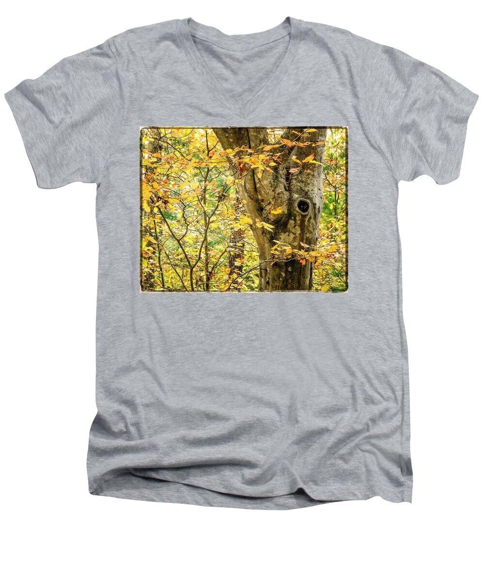 Tree Men's V-Neck T-Shirt featuring the photograph Tree Hollow by Frank Winters