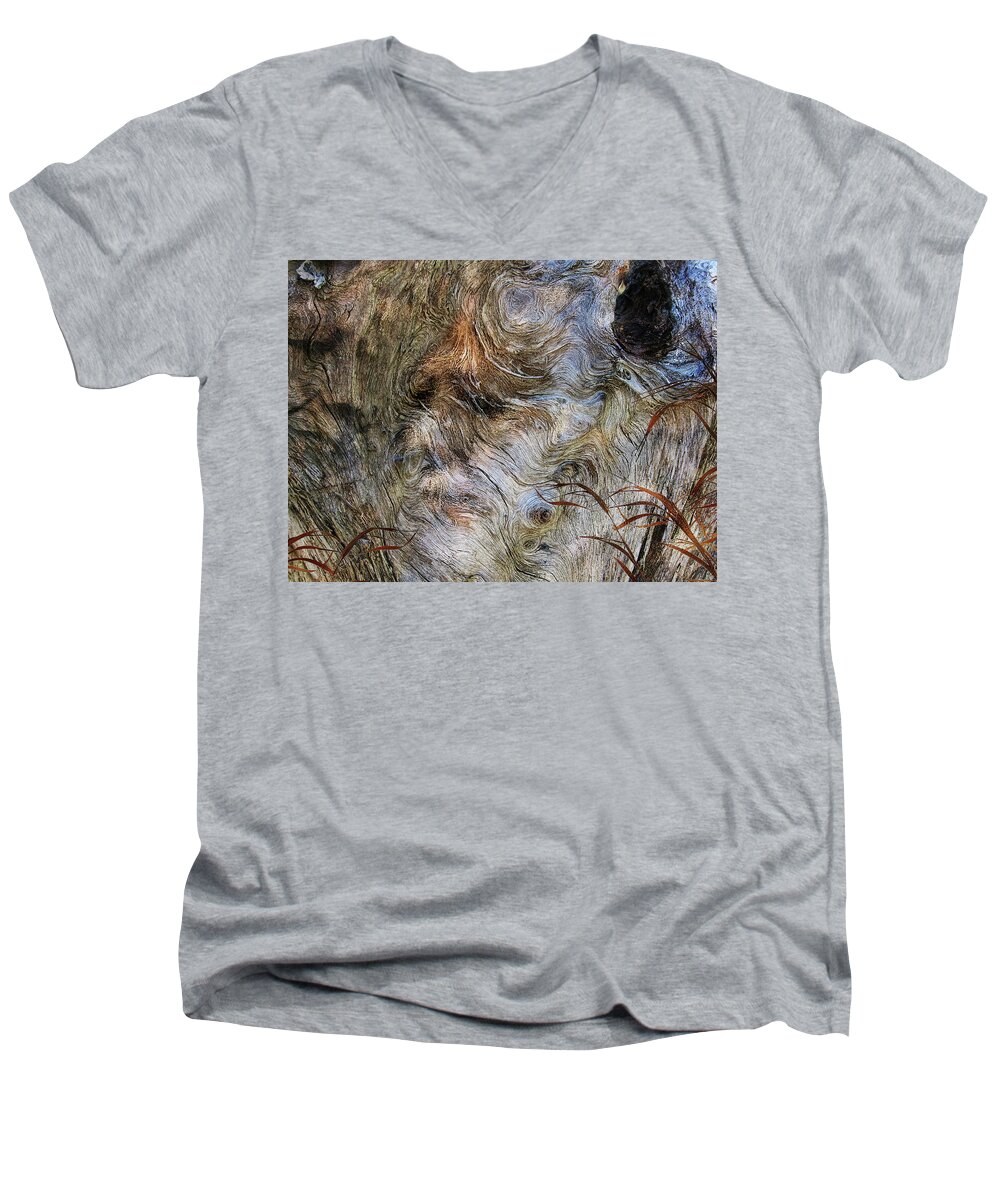 Trees Men's V-Neck T-Shirt featuring the photograph Tree Memories # 35 by Ed Hall