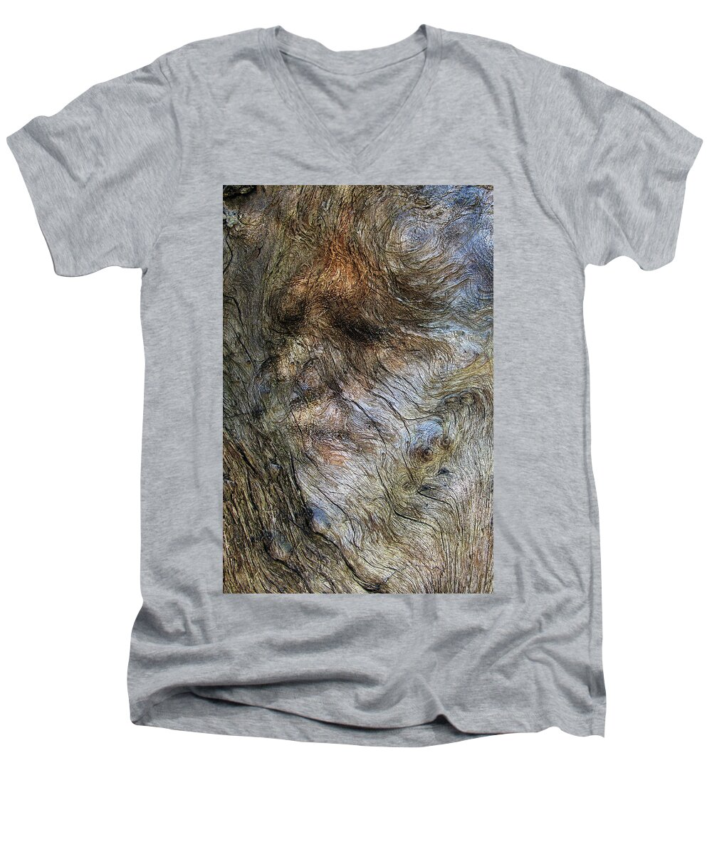 Trees Men's V-Neck T-Shirt featuring the photograph Tree Memories # 41 by Ed Hall