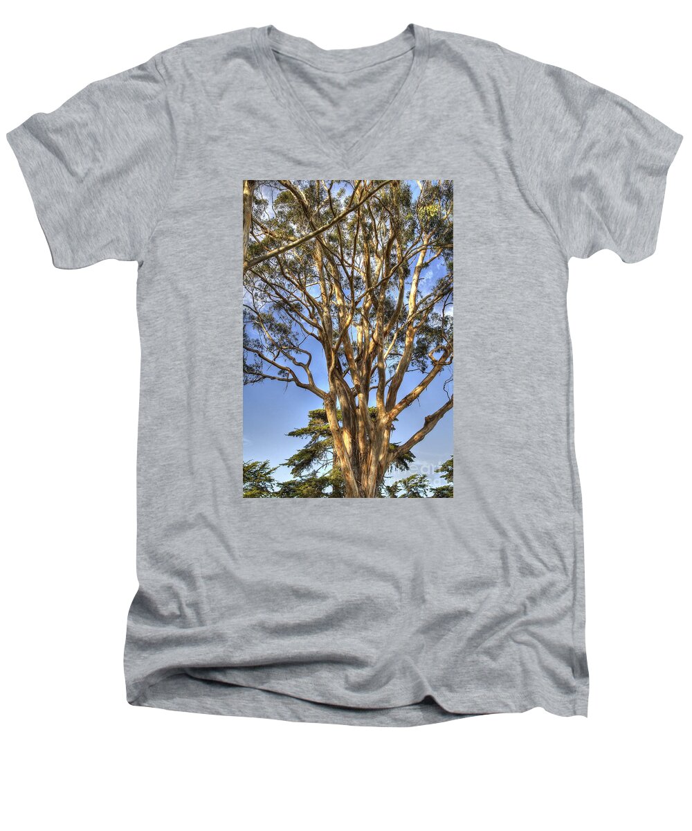 Hdr Process Men's V-Neck T-Shirt featuring the photograph Tree to the Heavens by Mathias 