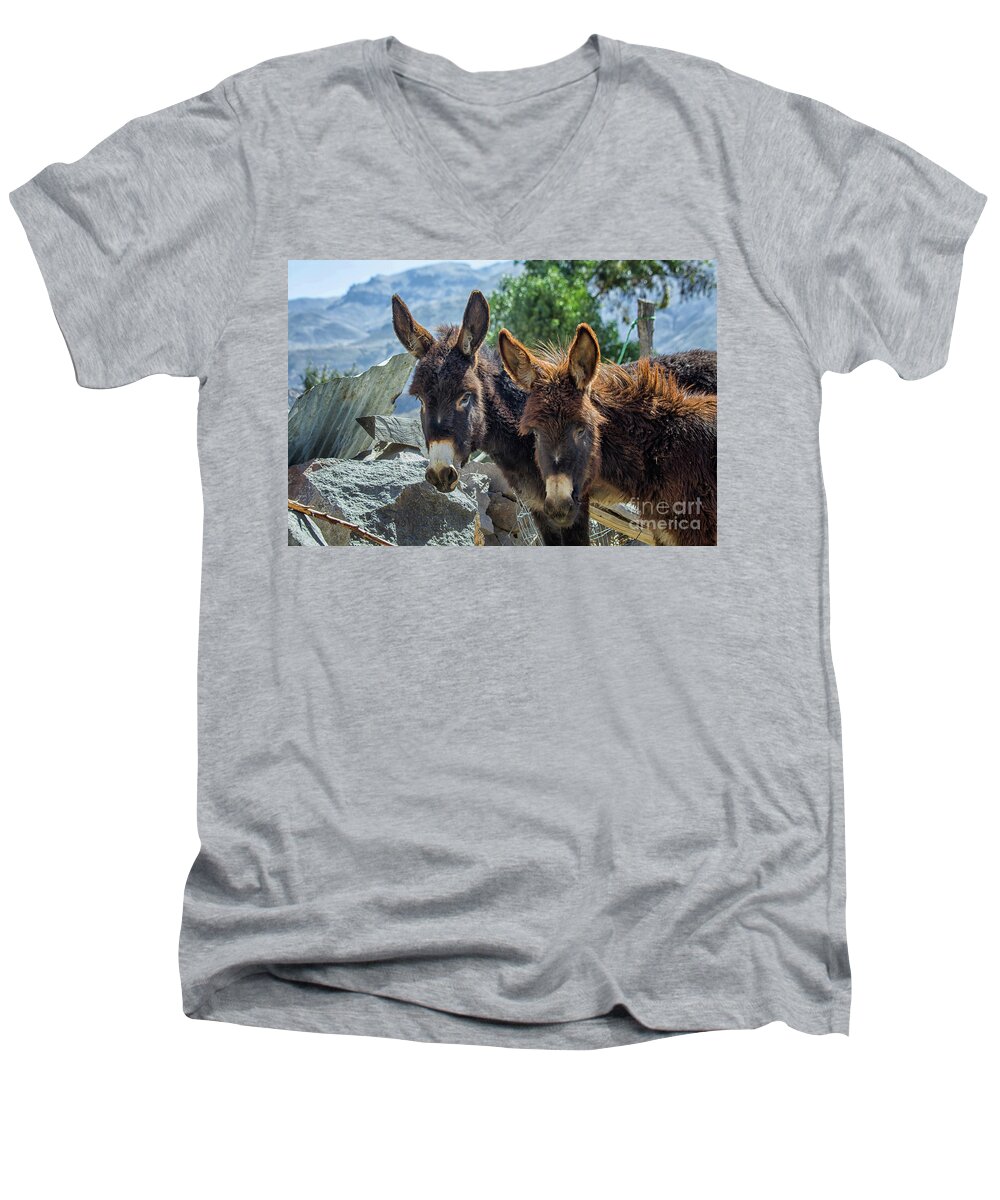 Donkey Men's V-Neck T-Shirt featuring the photograph Two donkeys by Patricia Hofmeester
