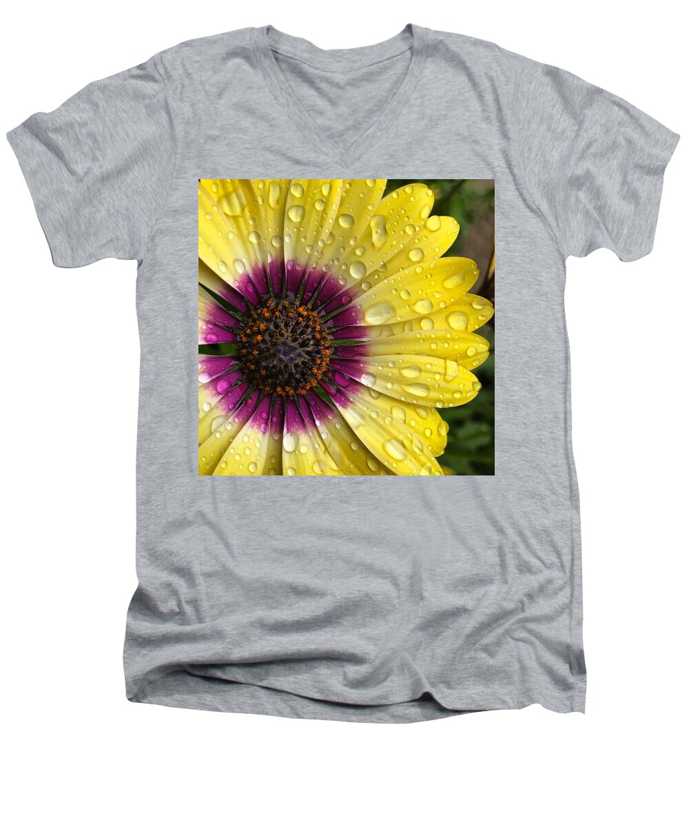 Drops Men's V-Neck T-Shirt featuring the photograph Daisy Up Close by Brian Eberly