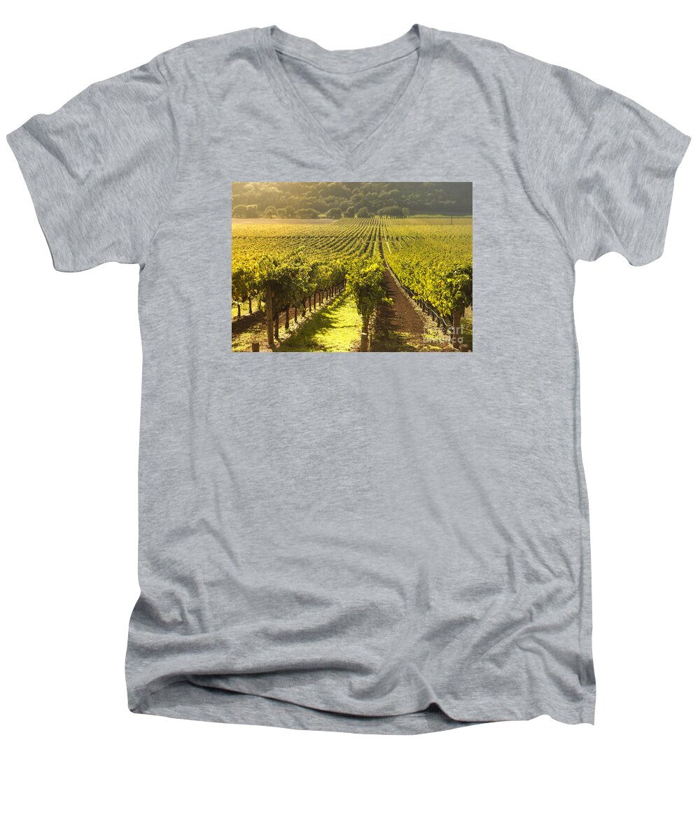Vineyard Men's V-Neck T-Shirt featuring the photograph Vineyard in Napa Valley by Diane Diederich