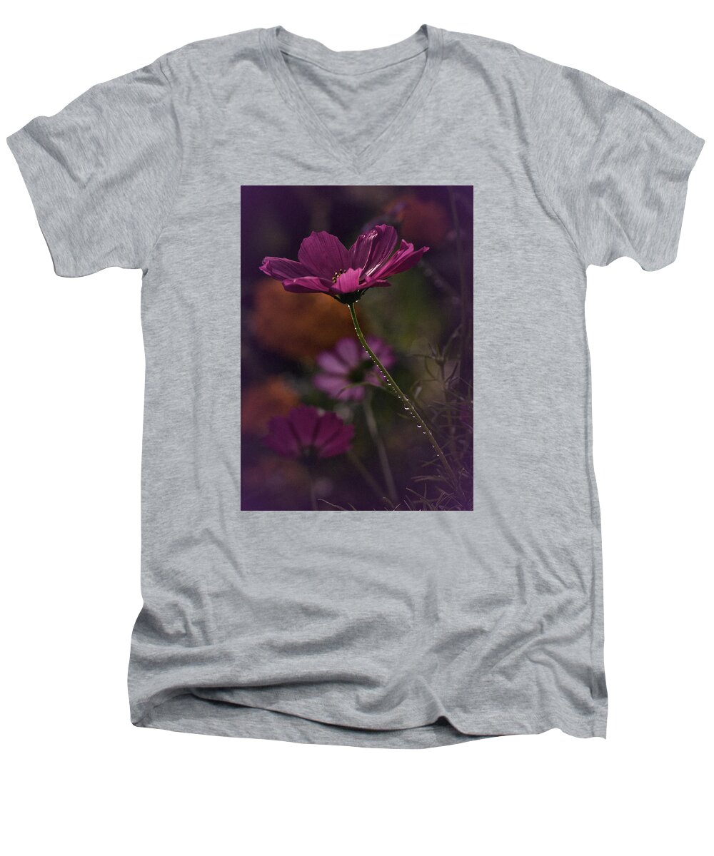 Cosmos Men's V-Neck T-Shirt featuring the photograph Vintage Cosmos by Richard Cummings