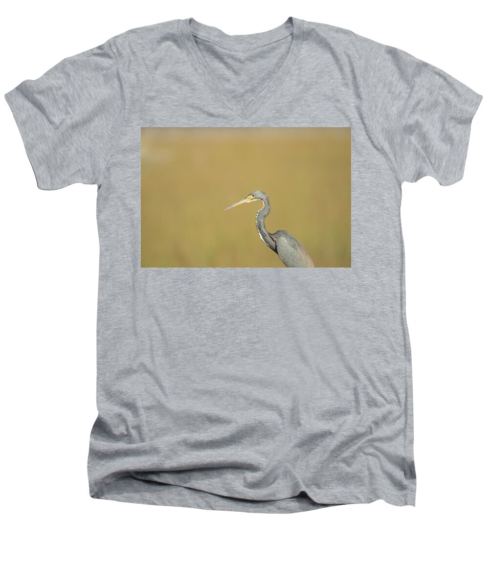 Everglades National Park Men's V-Neck T-Shirt featuring the photograph Waiting by Frank Madia