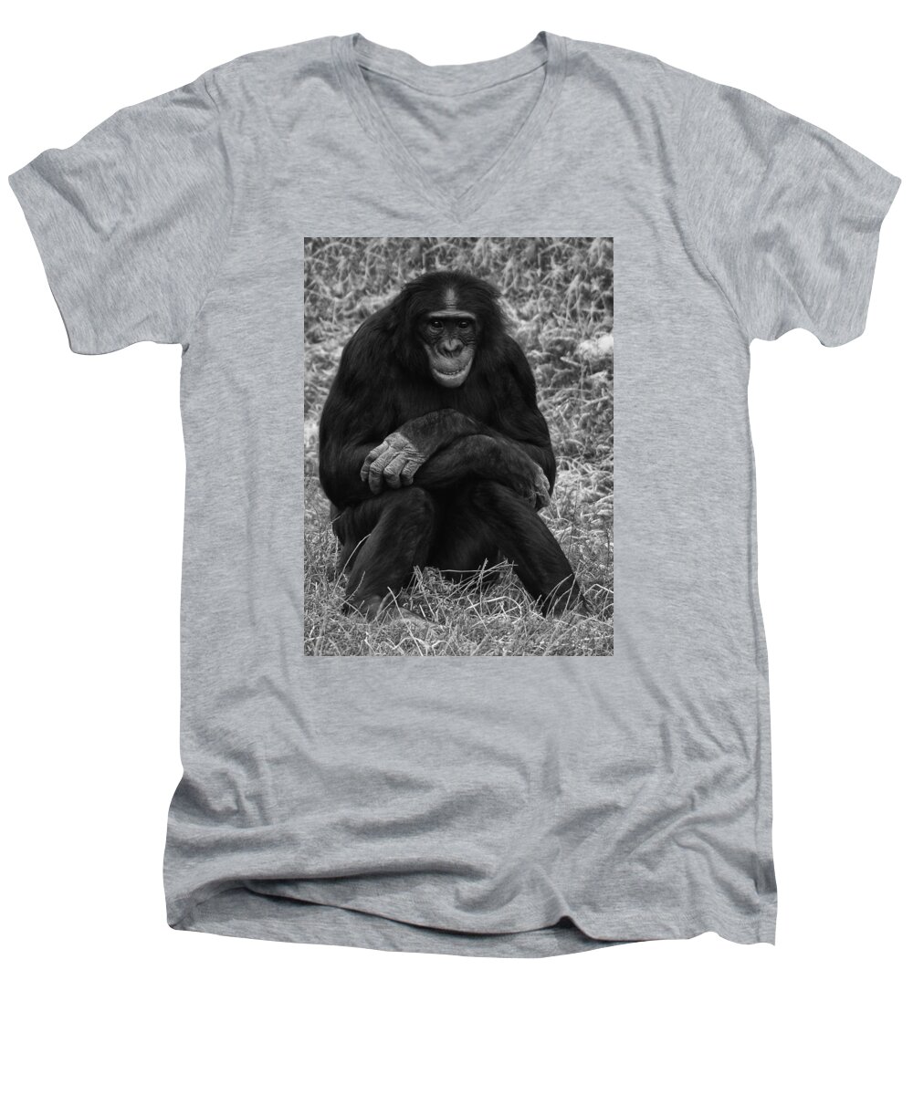 Chimp Men's V-Neck T-Shirt featuring the photograph Wanna be like you by Nick Bywater