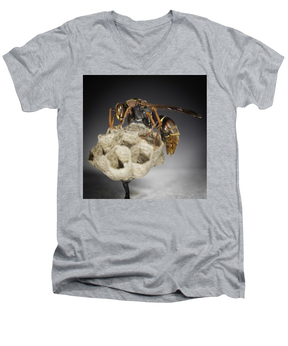Macro Men's V-Neck T-Shirt featuring the photograph Wasp on a nest by Chris Cousins