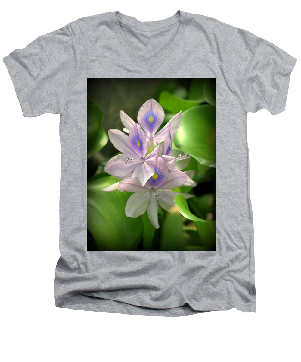Plant Men's V-Neck T-Shirt featuring the photograph Water Hyacinth Flower Eichhornia crassipes by Nathan Abbott