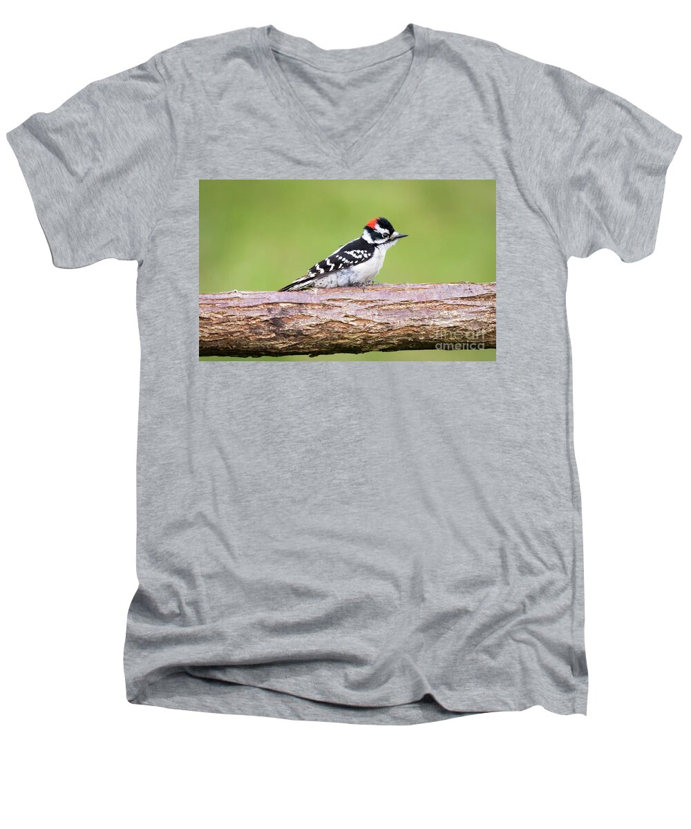 Canon Men's V-Neck T-Shirt featuring the photograph Wet Downy Woodpecker by Ricky L Jones