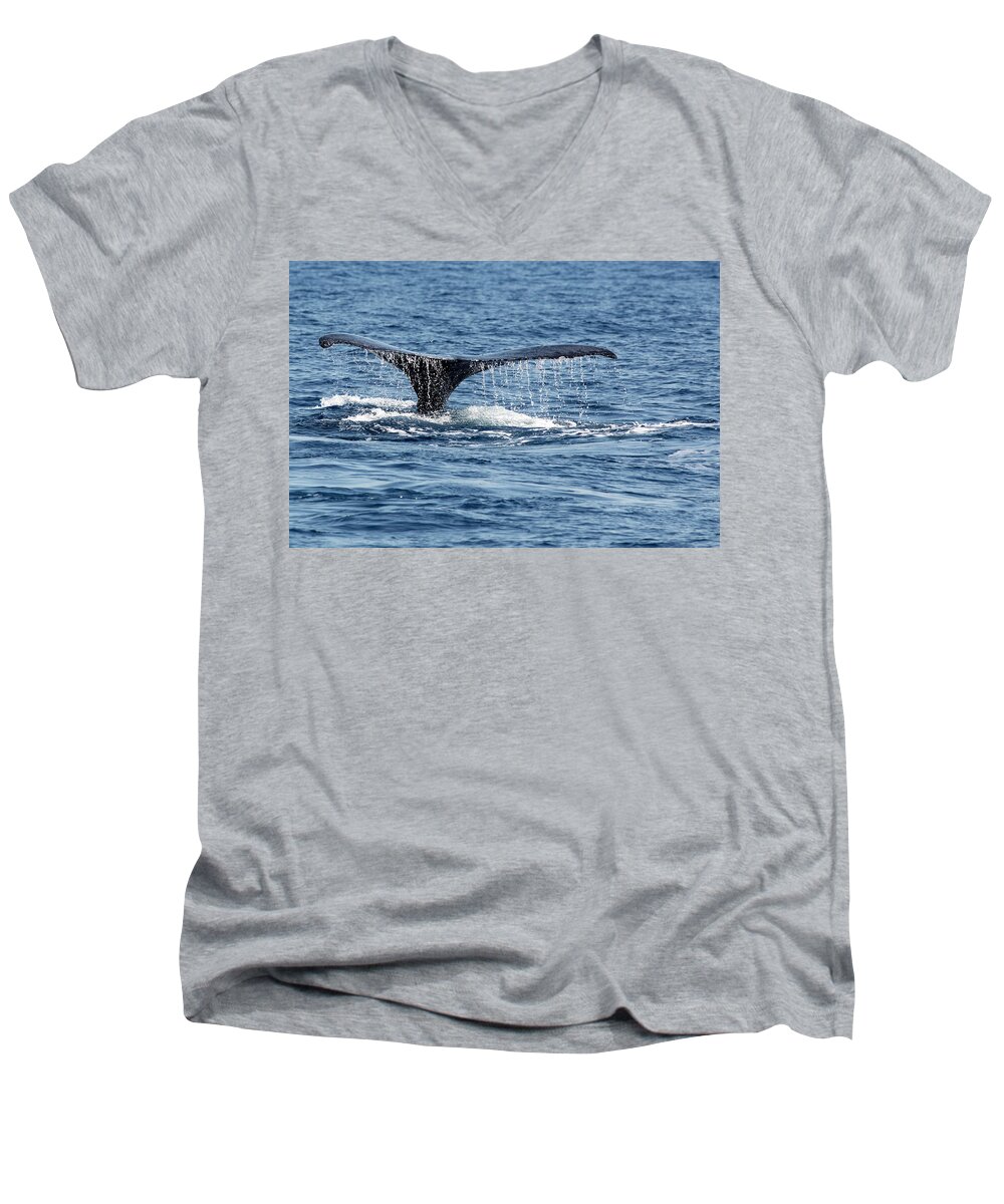 Whale Whale Tail Men's V-Neck T-Shirt featuring the photograph Whale Tail by Mark Harrington