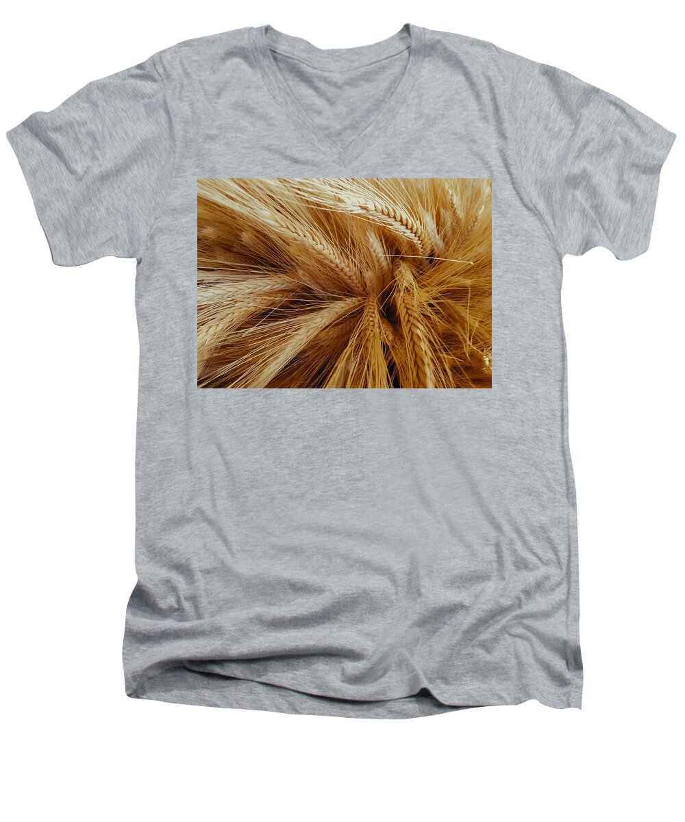 Wheat Men's V-Neck T-Shirt featuring the photograph Wheat in the Sunset by Nathan Little