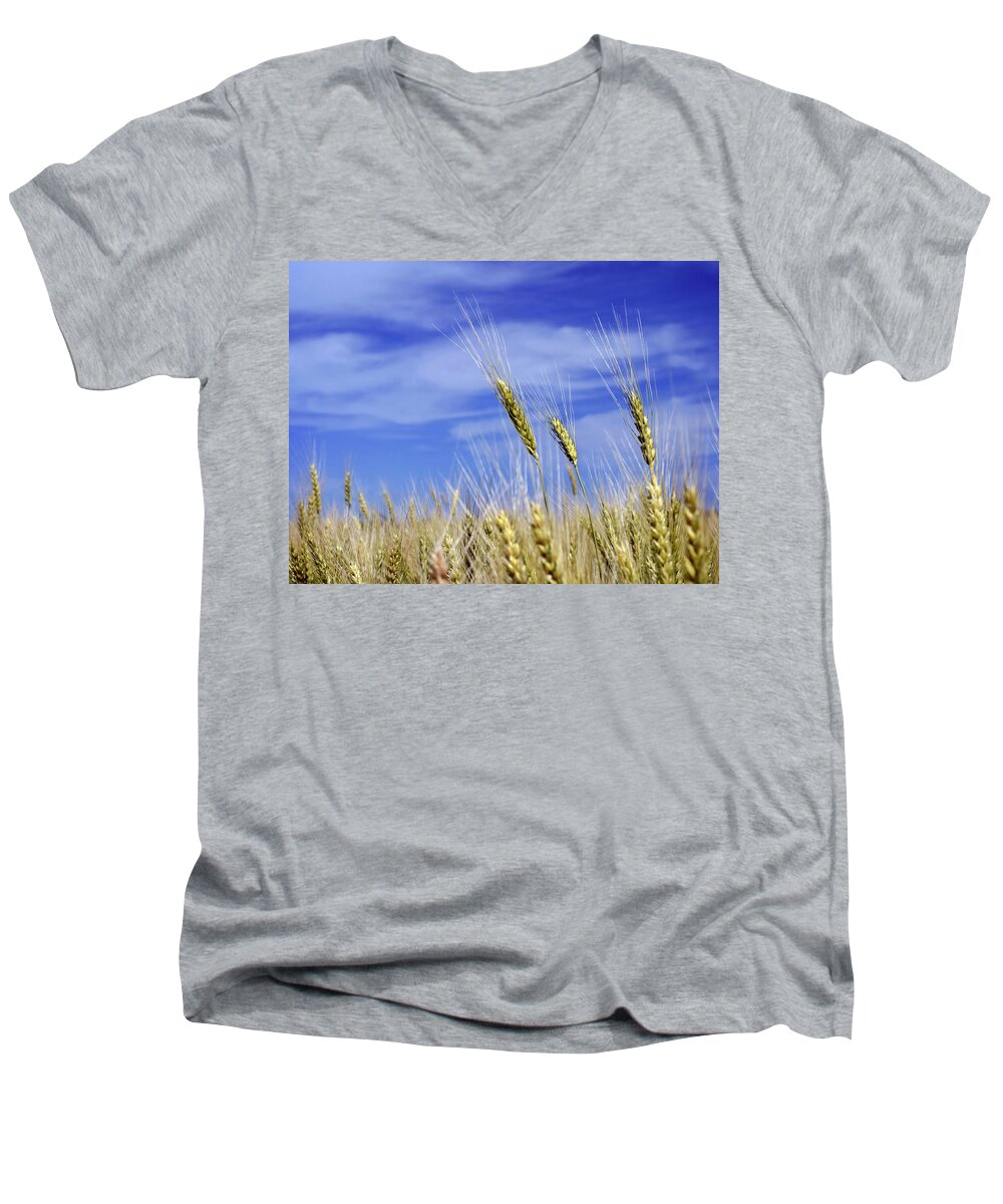 Wheat Men's V-Neck T-Shirt featuring the photograph Wheat Trio by Keith Armstrong