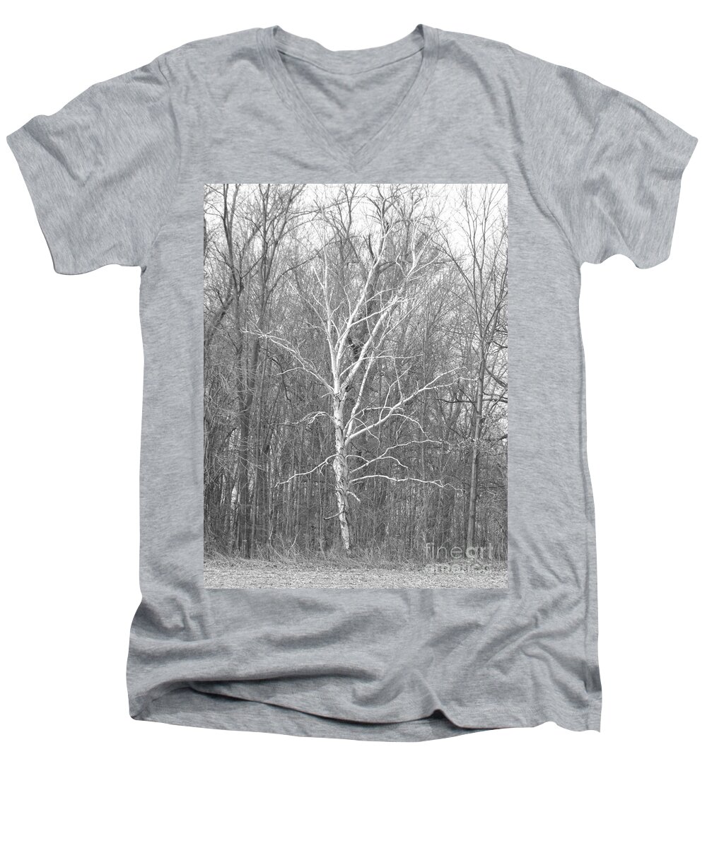 Birch Men's V-Neck T-Shirt featuring the photograph White Birch In BW by Erick Schmidt