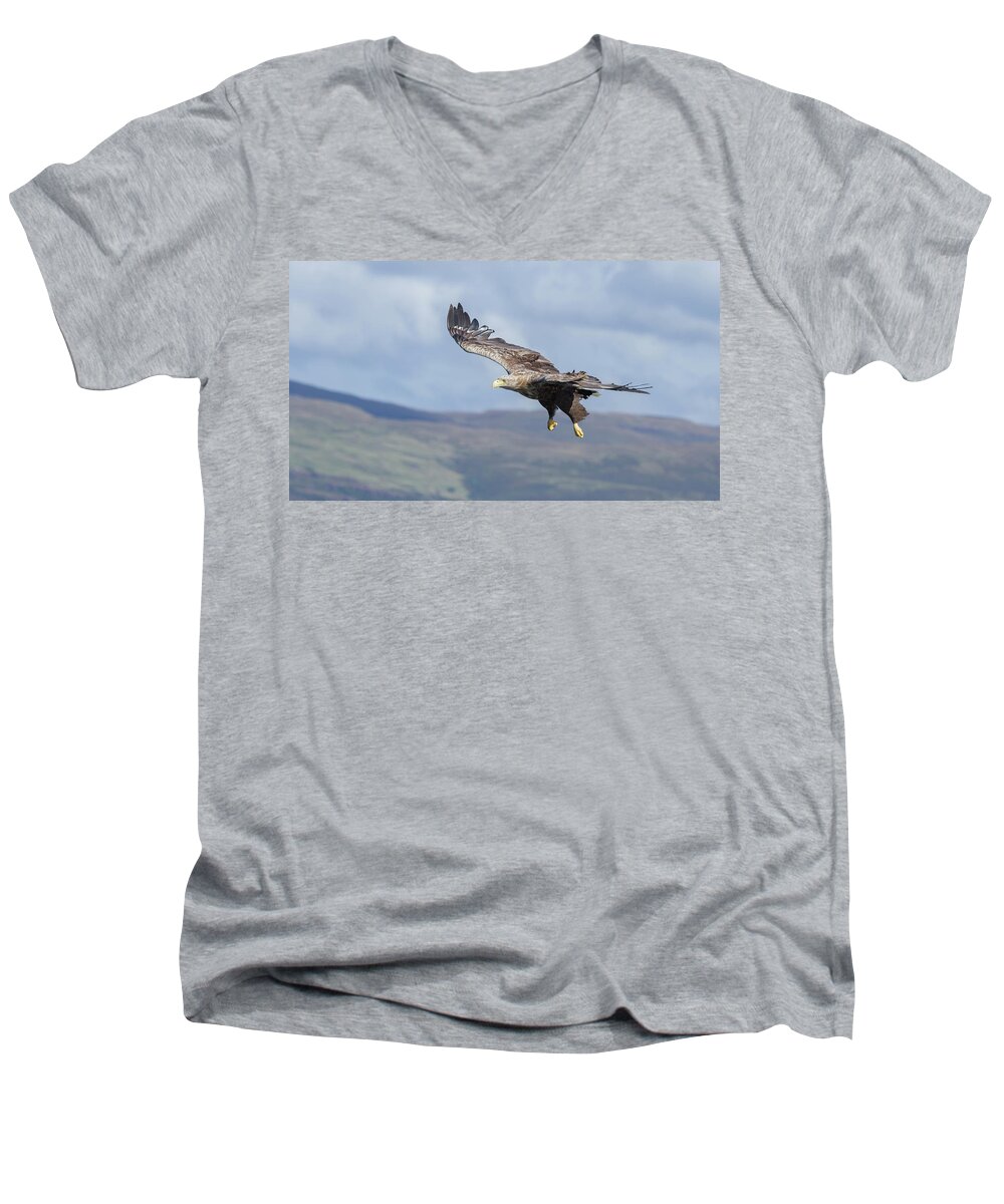 White-tailed Eagle Men's V-Neck T-Shirt featuring the photograph White-Tailed Eagle On Mull by Pete Walkden