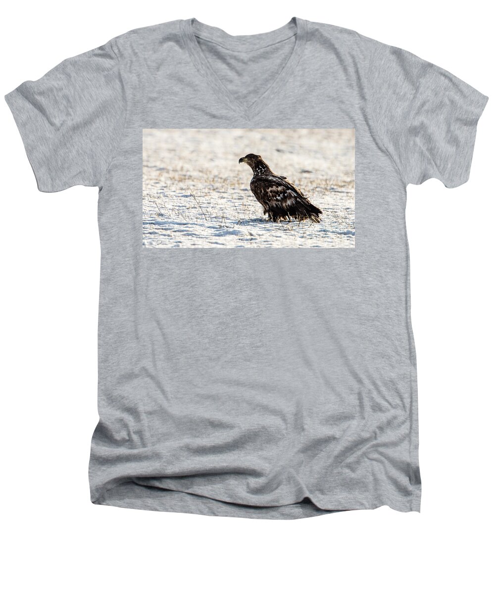 White-tailed Eagle Men's V-Neck T-Shirt featuring the photograph White-tailed Eagle by Torbjorn Swenelius