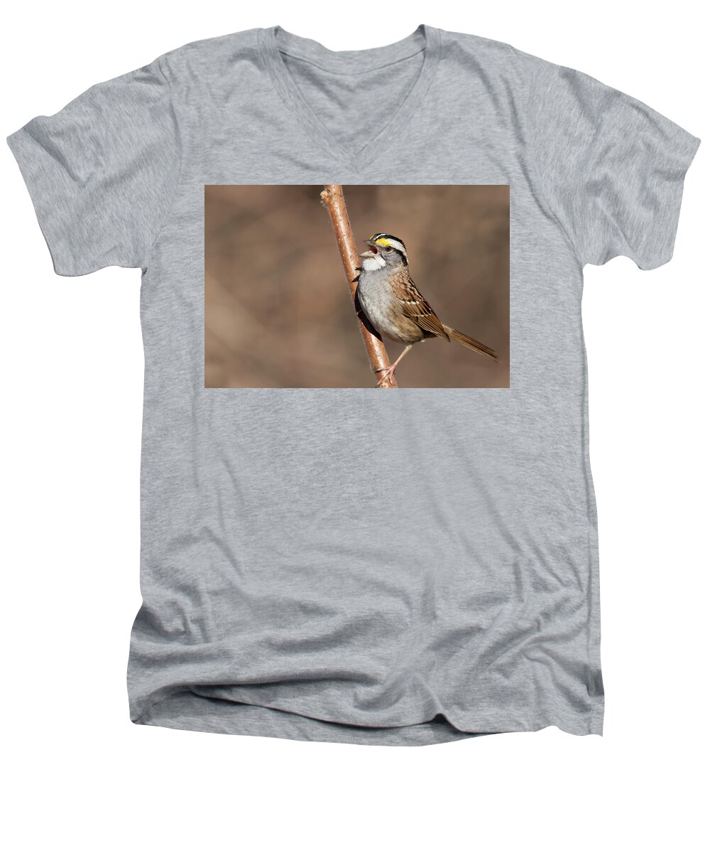 Tree Sparrow Men's V-Neck T-Shirt featuring the photograph White-throated sparrow by Mircea Costina Photography