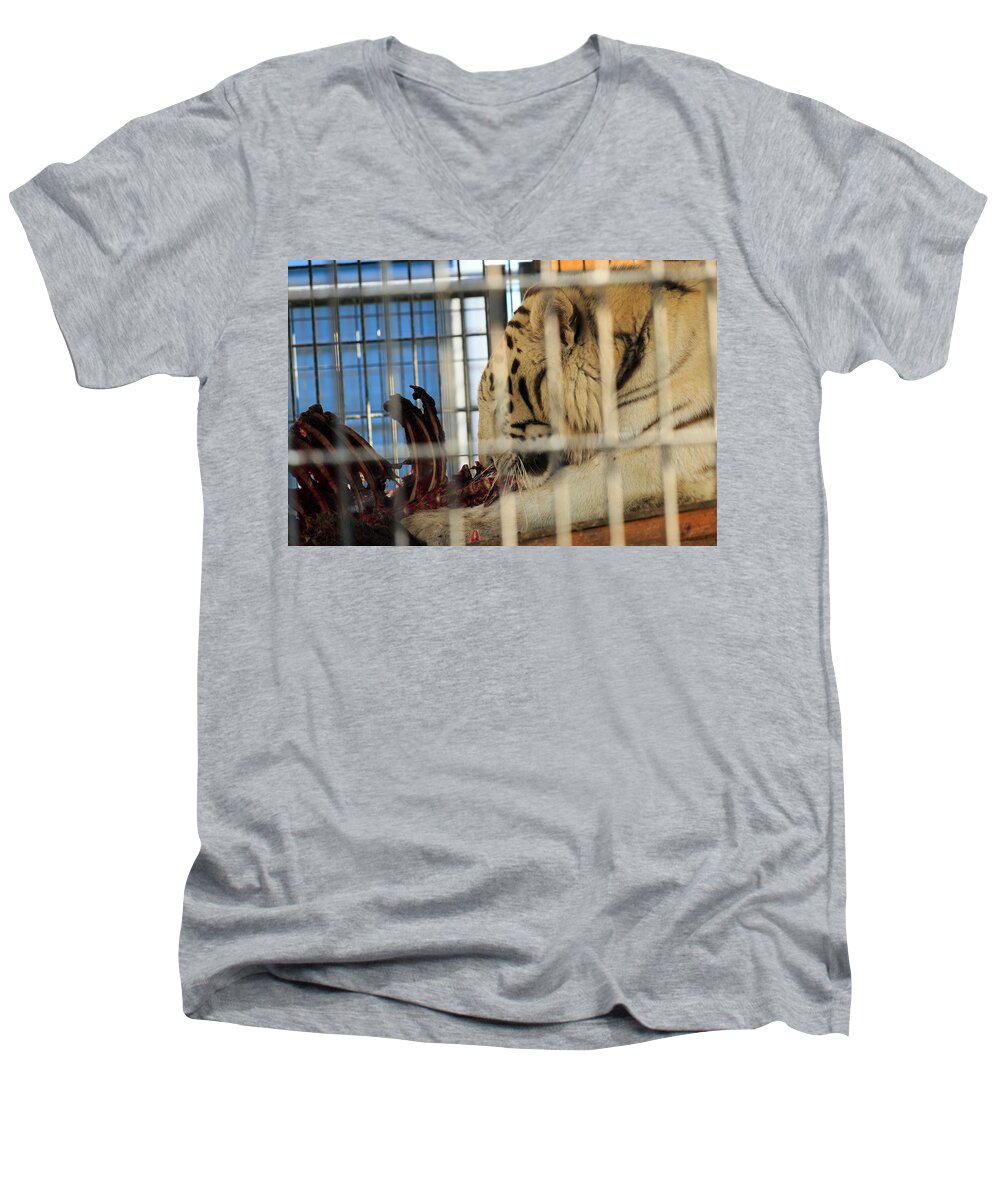 White Men's V-Neck T-Shirt featuring the photograph White Tiger by Travis Rogers