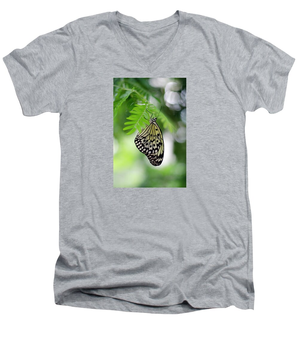 Butterfly Men's V-Neck T-Shirt featuring the photograph White Tree Nymph Butterfly 2 by Marie Hicks