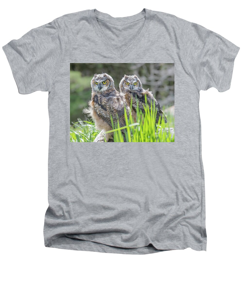 Nature Men's V-Neck T-Shirt featuring the photograph Whoos watching me by Ian Sempowski