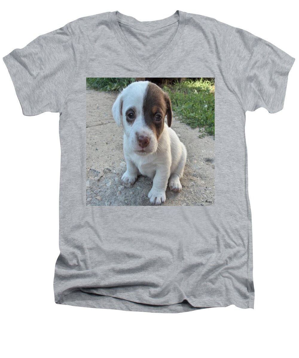 Puppy Jack Russell Terrior Dog Dogs Pets Animals Domestic Puppies Cute Men's V-Neck T-Shirt featuring the photograph Will You Be My Friend by Andrea Lawrence