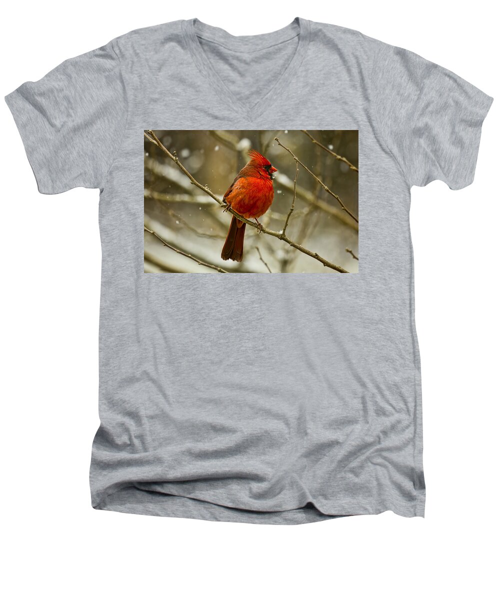 Cardinal Men's V-Neck T-Shirt featuring the photograph Wintry Cardinal by Patricia Montgomery