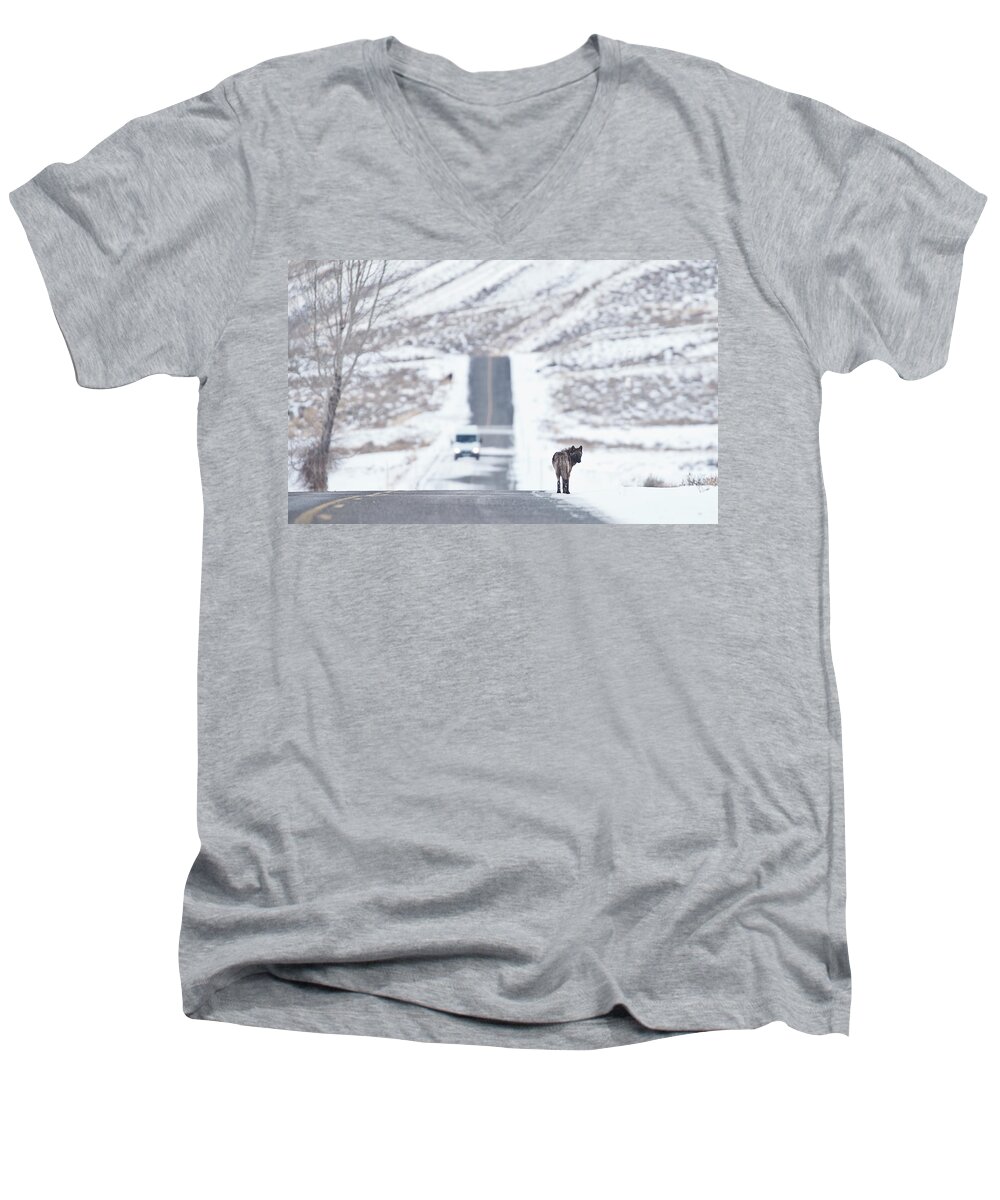 Travel Men's V-Neck T-Shirt featuring the photograph Wolf Land by Eilish Palmer