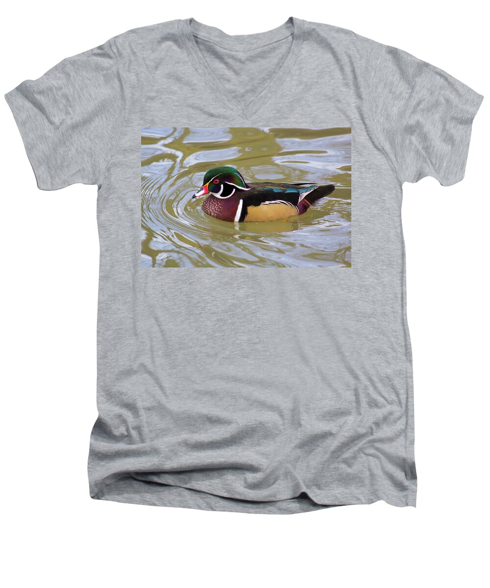 Wildlife Men's V-Neck T-Shirt featuring the photograph Wood duck by David Stasiak