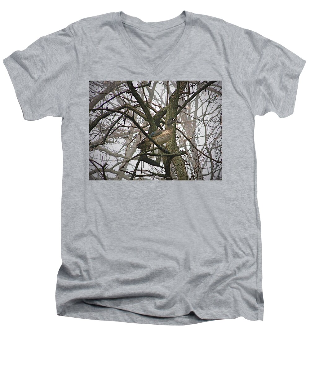 Color Photography Men's V-Neck T-Shirt featuring the photograph Wood Duck by Sue Stefanowicz