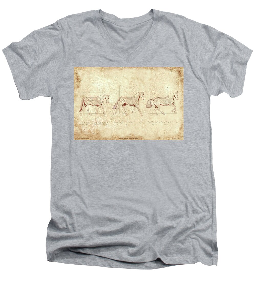 Horse Men's V-Neck T-Shirt featuring the painting WTC, Walk, Trot, Canter, The Horse's Gaits Revealed by Catherine Twomey