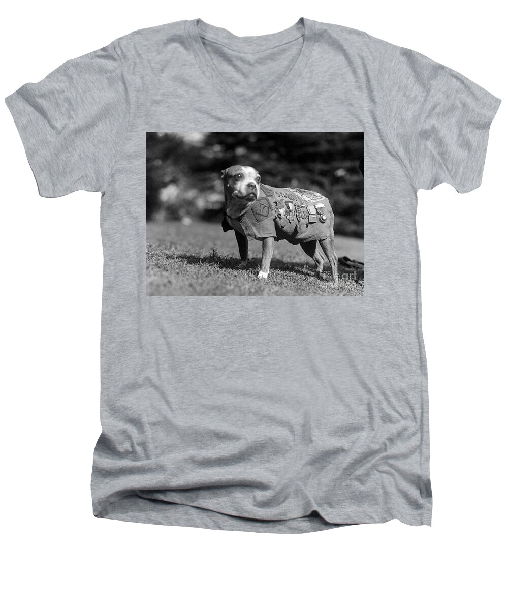 Historic Men's V-Neck T-Shirt featuring the photograph Wwi, Sergeant Stubby, American War Dog by Science Source