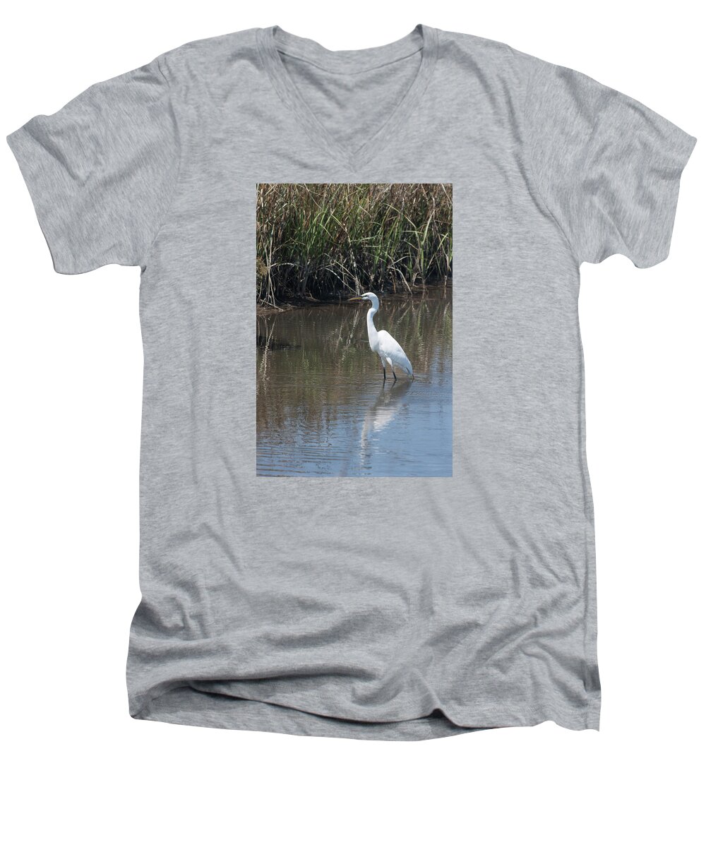 Photograph Men's V-Neck T-Shirt featuring the photograph Yawkey Wildlife Refuge - Great White Egret II by Suzanne Gaff