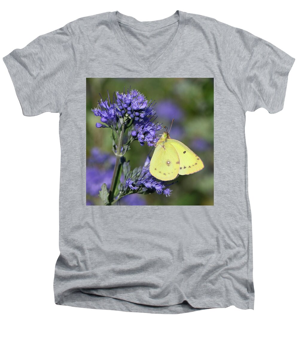 Cloudless Sulphur Butterfly Men's V-Neck T-Shirt featuring the photograph Yellow and Indigo by Doris Potter