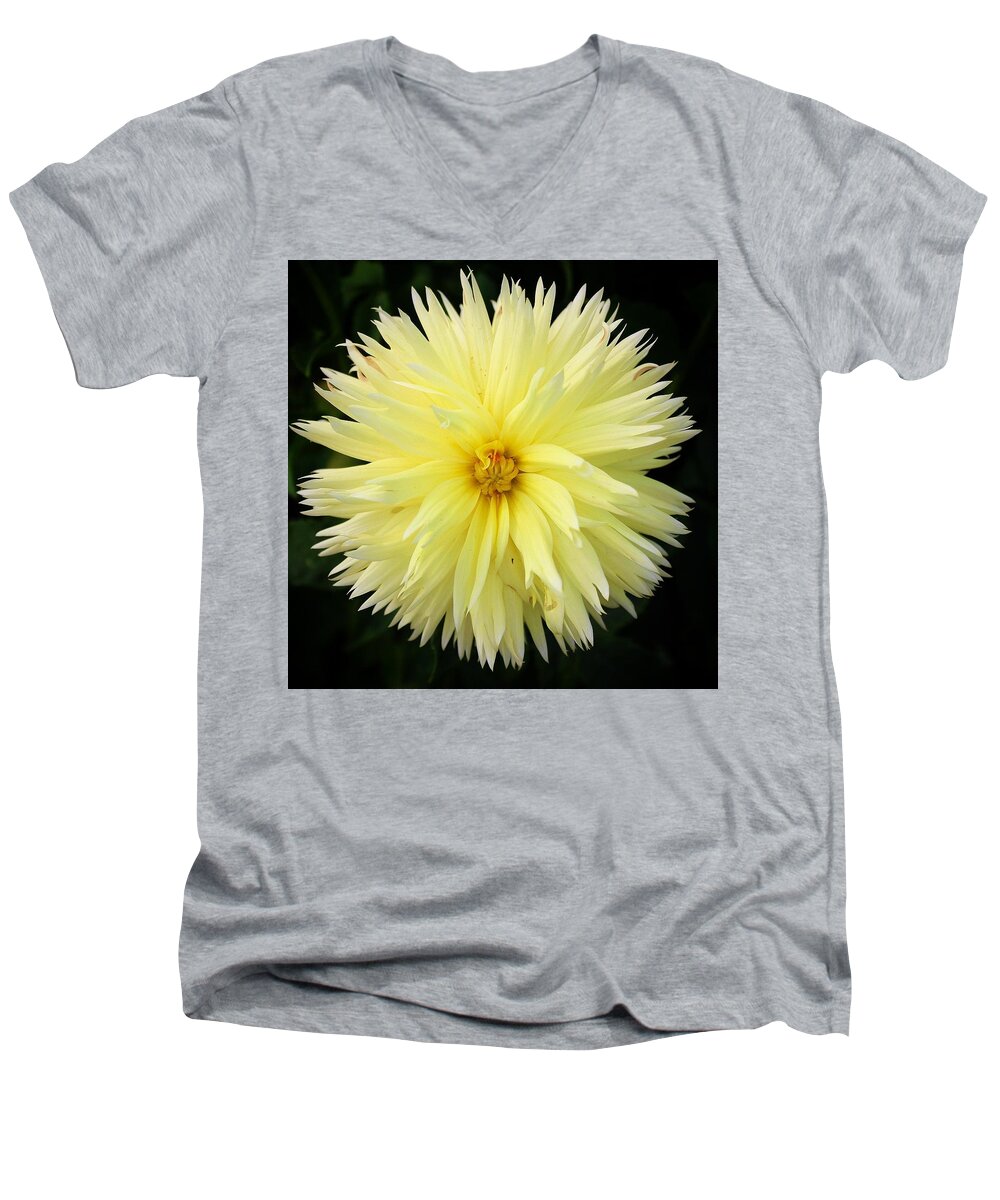 Dahlia Men's V-Neck T-Shirt featuring the photograph Yellow Dahlia by Brian Eberly