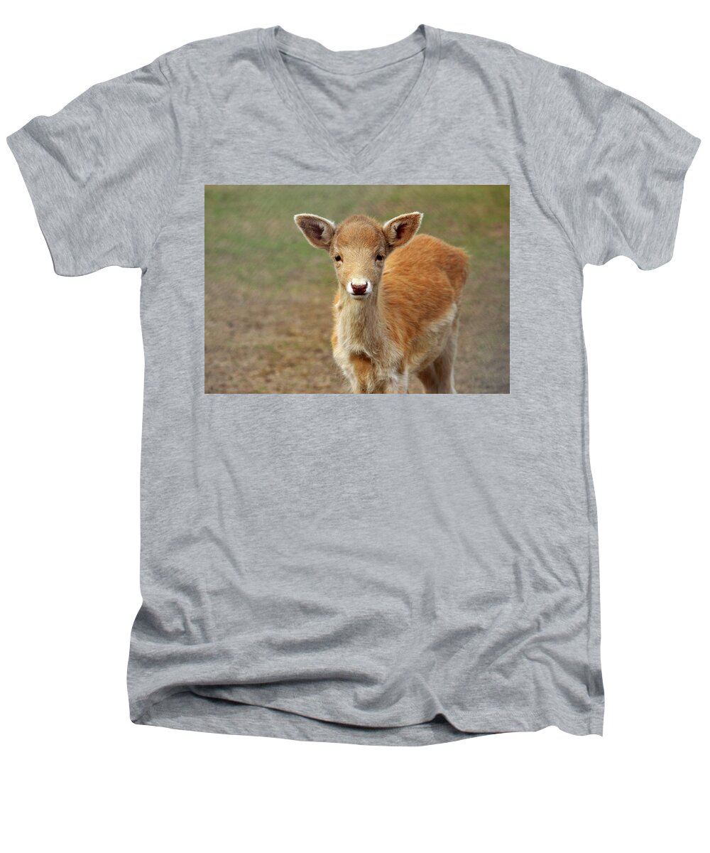 Animal Men's V-Neck T-Shirt featuring the photograph Young And Sweet by Cynthia Guinn