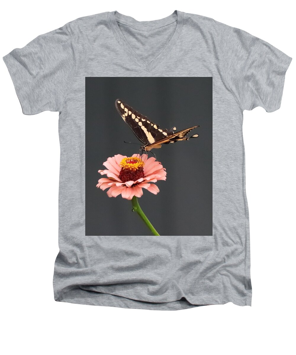 Zinnia Men's V-Neck T-Shirt featuring the photograph Zinnia with Butterfly 2702 by John Moyer