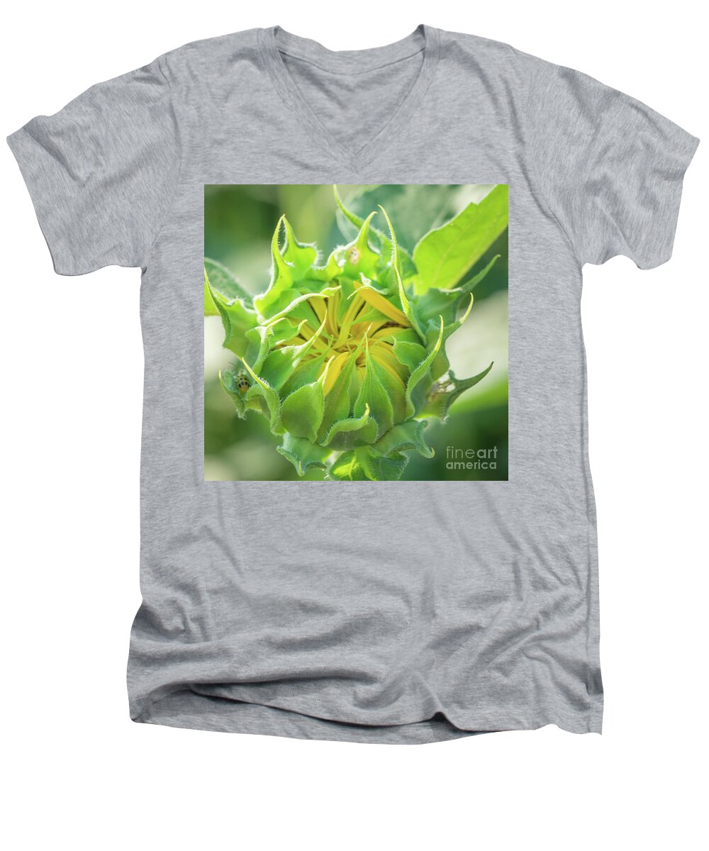 Sunflower Men's V-Neck T-Shirt featuring the photograph Becoming #1 by Cathy Donohoue