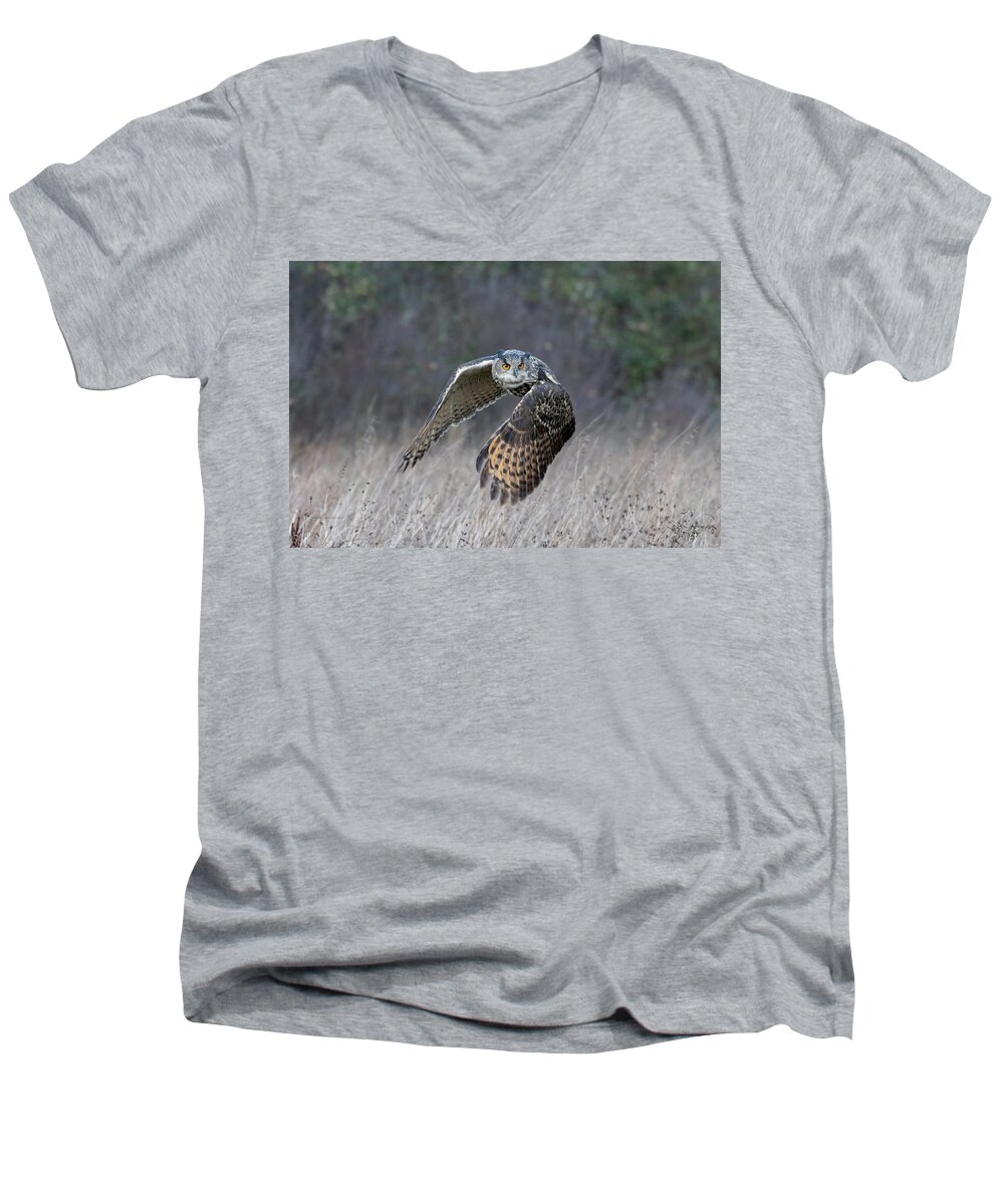 Owl Men's V-Neck T-Shirt featuring the photograph Eurasian Eagle Owl Flying #1 by Mark Hunter