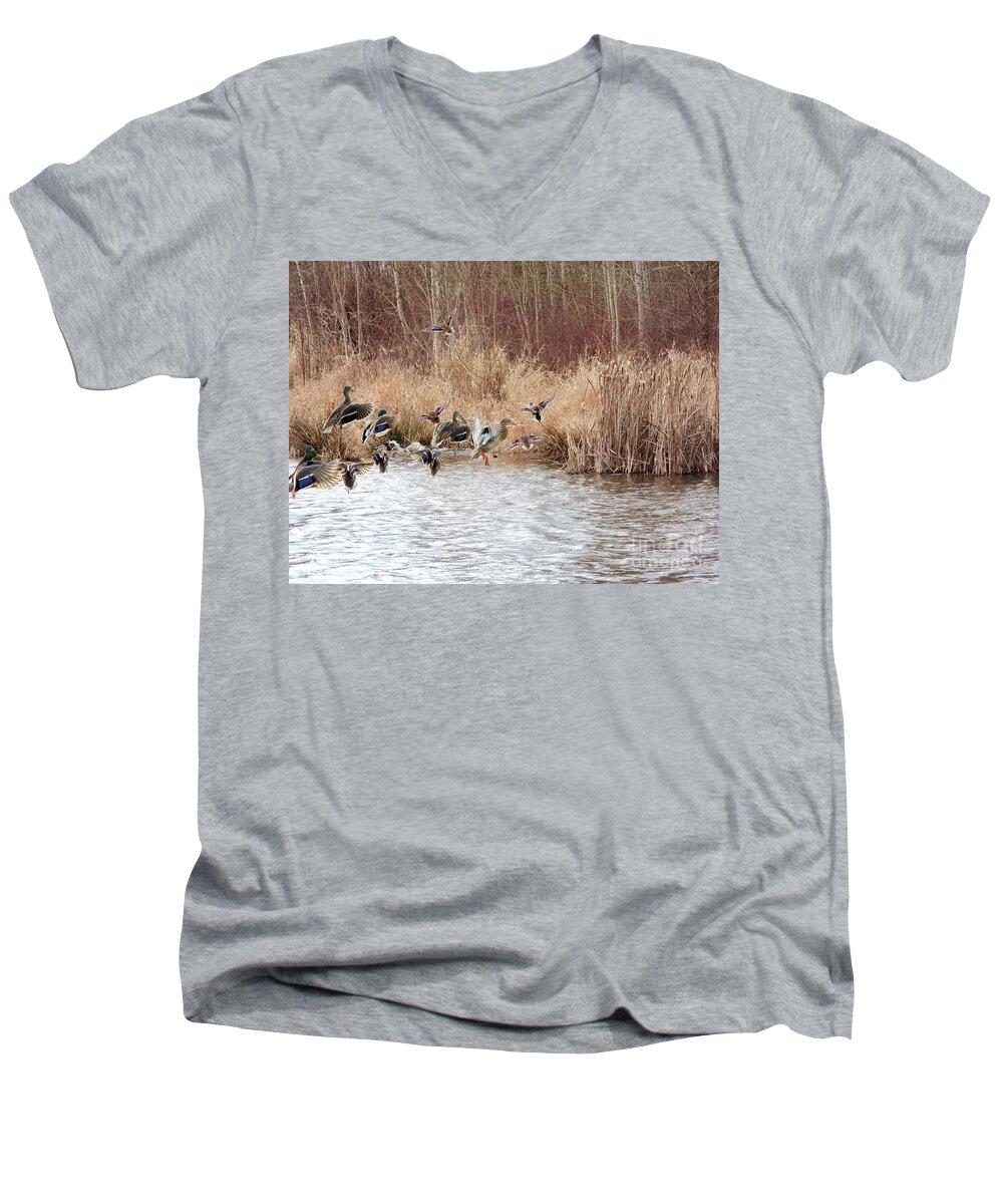 Mallard Men's V-Neck T-Shirt featuring the photograph Time To Go #1 by Scott Cameron