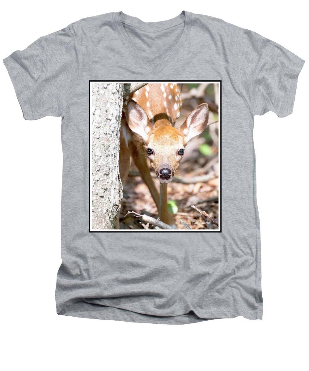 White-tailed Deer Men's V-Neck T-Shirt featuring the photograph White-tailed Deer Fawn, Animal Portrait #2 by A Macarthur Gurmankin