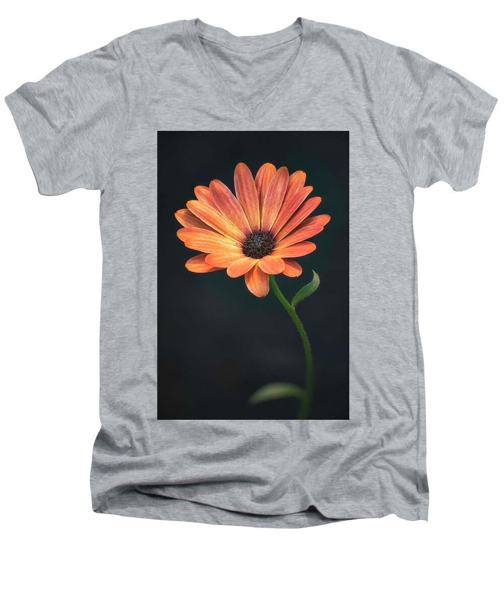 Flower Men's V-Neck T-Shirt featuring the photograph Evening Light #4 by Robert Fawcett