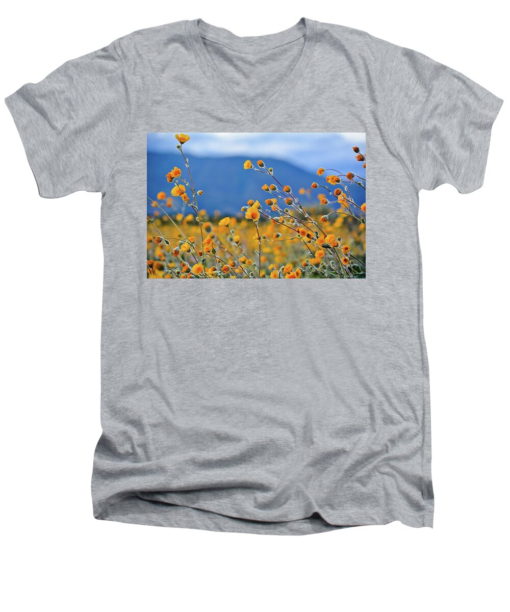 Anza Borrego Desert State Park Men's V-Neck T-Shirt featuring the photograph Anza Borrego Wild Desert Sunflowers by Kyle Hanson