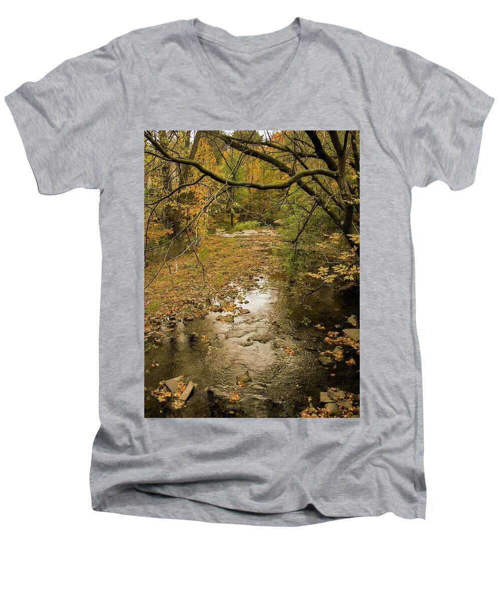 Autumn Men's V-Neck T-Shirt featuring the photograph Autumn forest by Silvia Marcoschamer