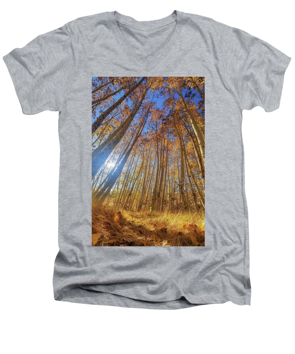 Fall Colors Men's V-Neck T-Shirt featuring the photograph Autumn Giants by Tassanee Angiolillo