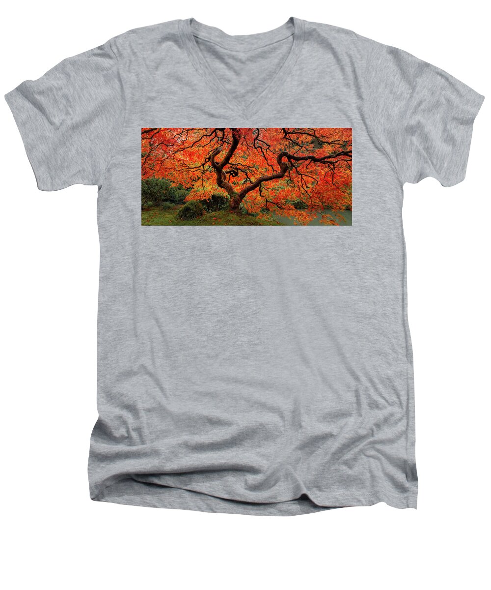 Autumn Colors Men's V-Neck T-Shirt featuring the photograph Autumn Maple by Don Schwartz