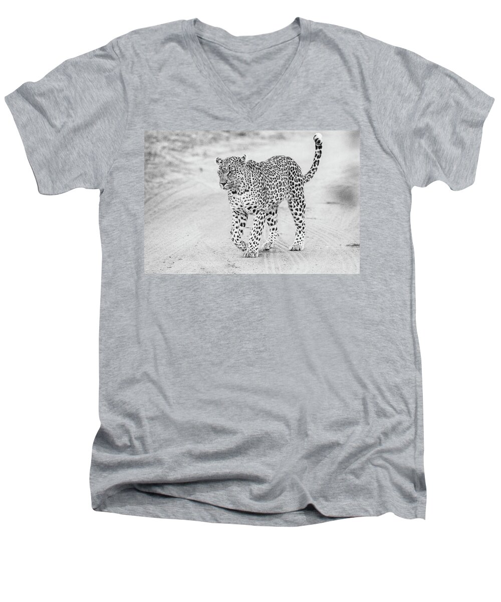 Leopard Men's V-Neck T-Shirt featuring the photograph Black and white leopard walking on a road by Mark Hunter