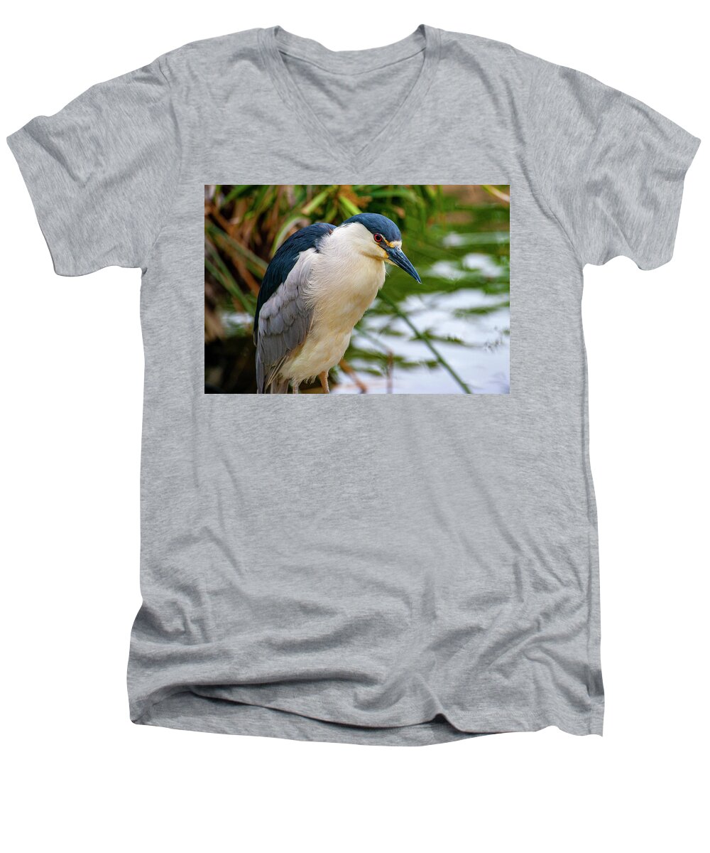 Heron Men's V-Neck T-Shirt featuring the photograph Black Crowned Night Heron closeup by Anthony Jones