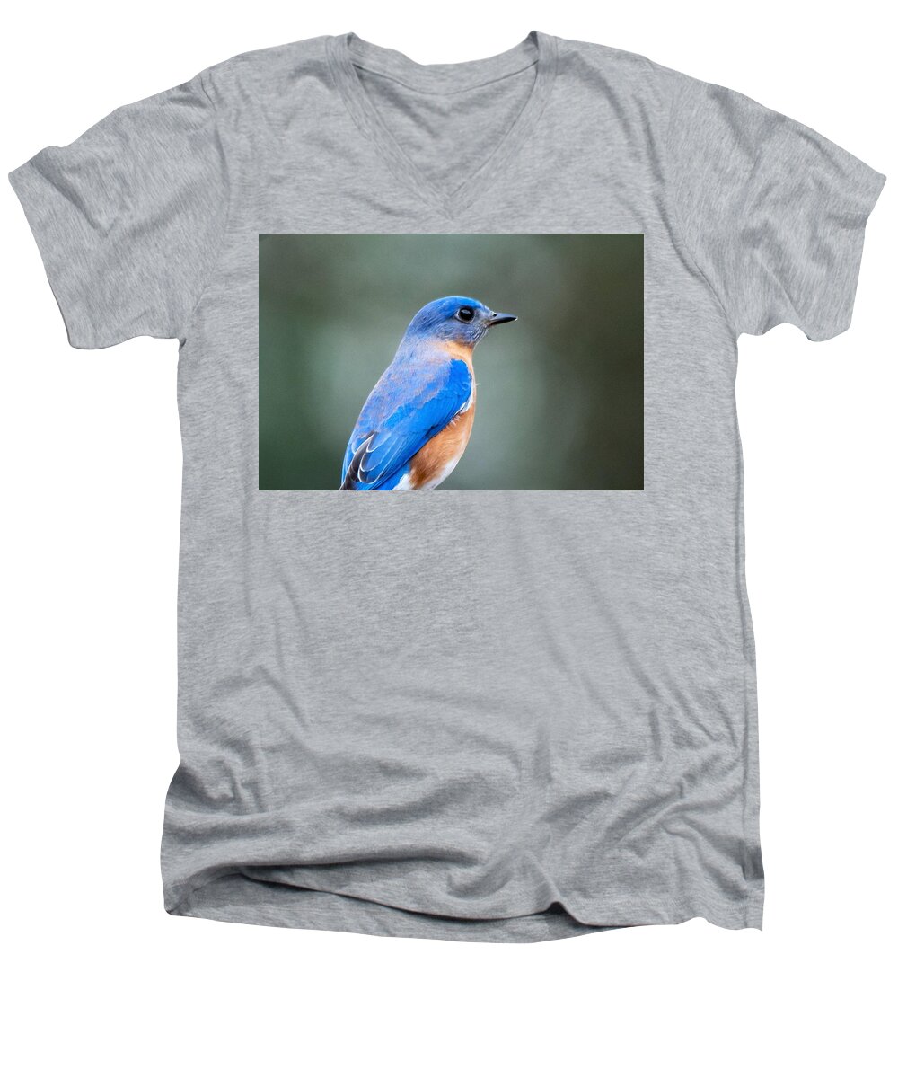 Bluebird Men's V-Neck T-Shirt featuring the photograph Bluebird Portrait by Mary Ann Artz