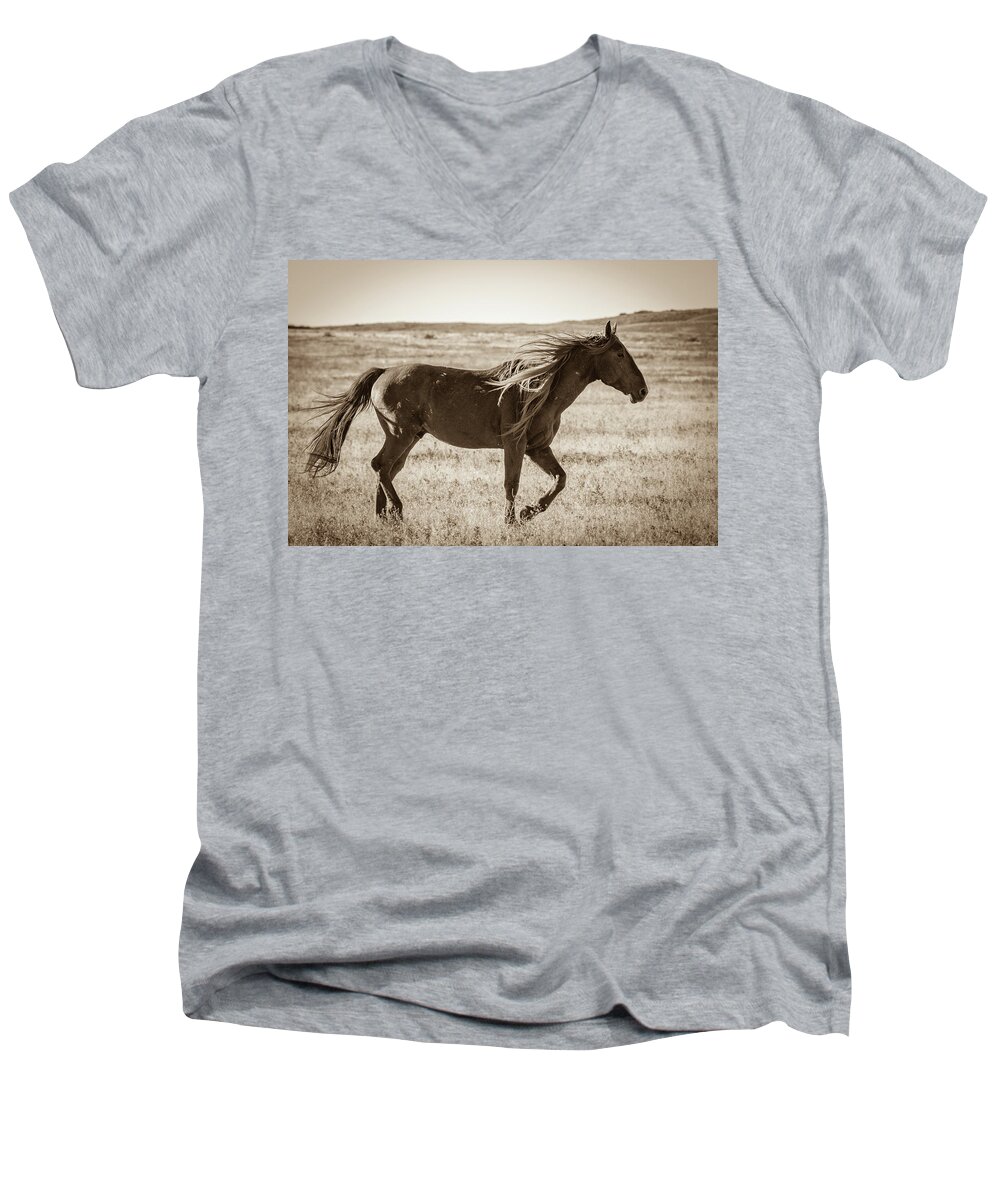  Wild Horses Men's V-Neck T-Shirt featuring the photograph Born to be wild by Mary Hone