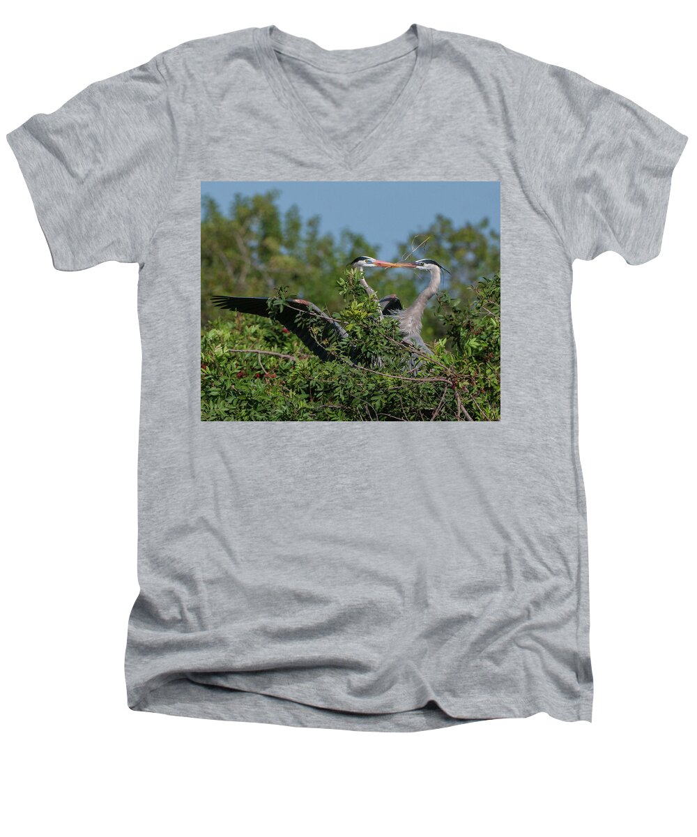 Birds Men's V-Neck T-Shirt featuring the photograph Breeding Herons by Donald Brown