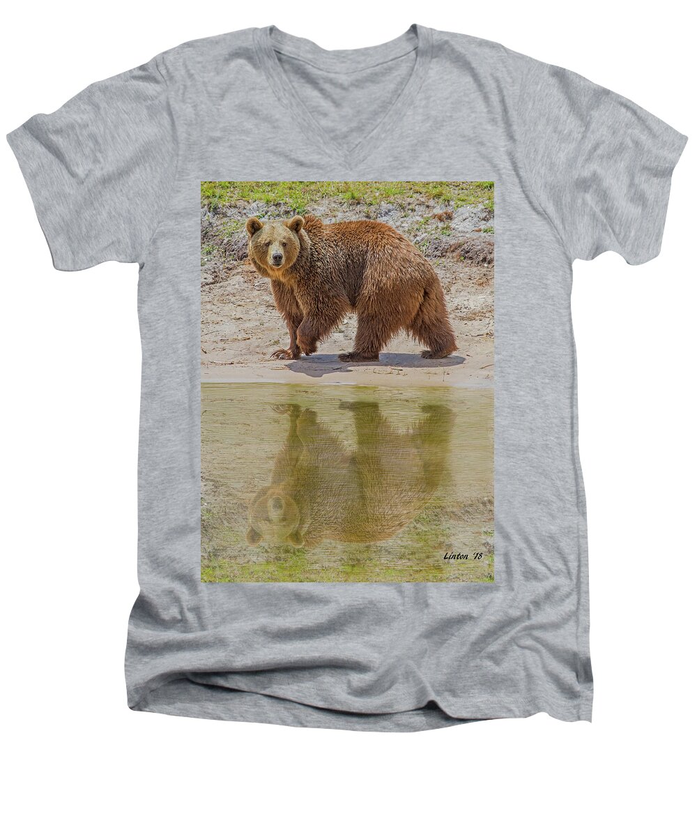 Brown Bear Men's V-Neck T-Shirt featuring the photograph Brown Bear Reflection by Larry Linton